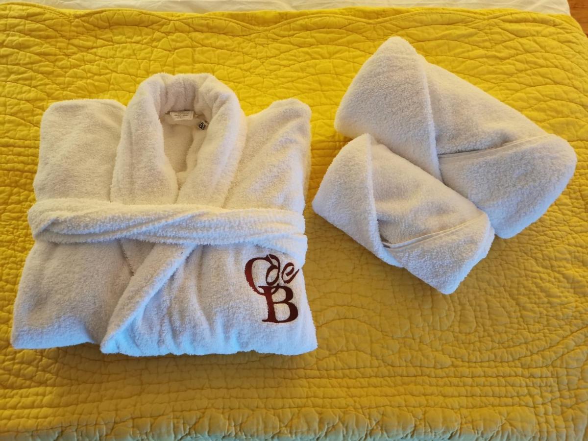 Le Cellier De Beaulieu, Au Pied De La Cite, Maison De Vacances Avec Climatisation Et Jacuzzi Carcassonne Zewnętrze zdjęcie