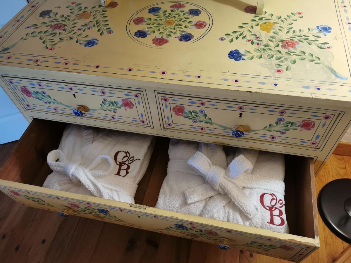 Le Cellier De Beaulieu, Au Pied De La Cite, Maison De Vacances Avec Climatisation Et Jacuzzi Carcassonne Zewnętrze zdjęcie